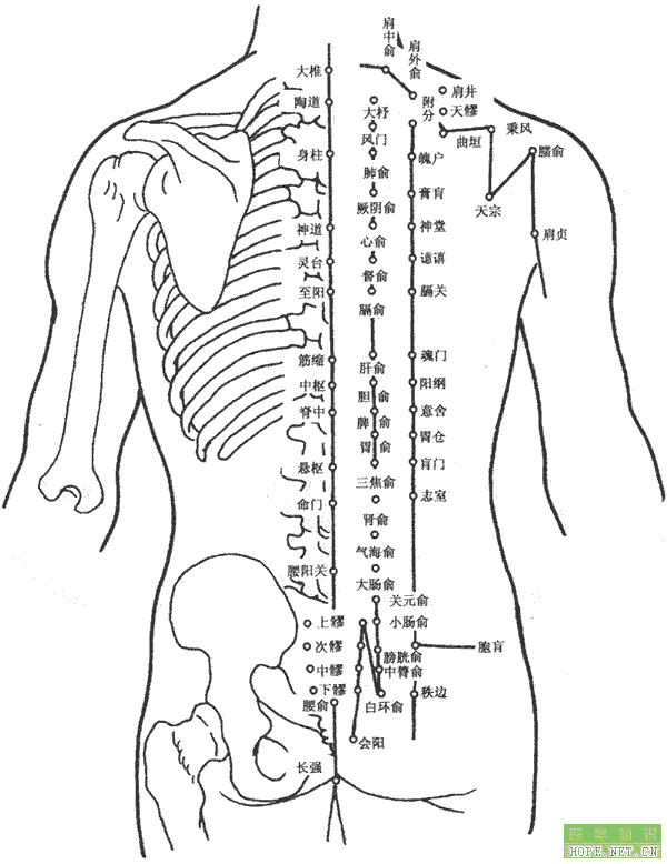 腰俞穴