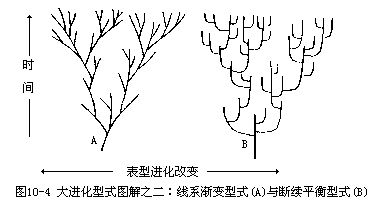 矩陣圖