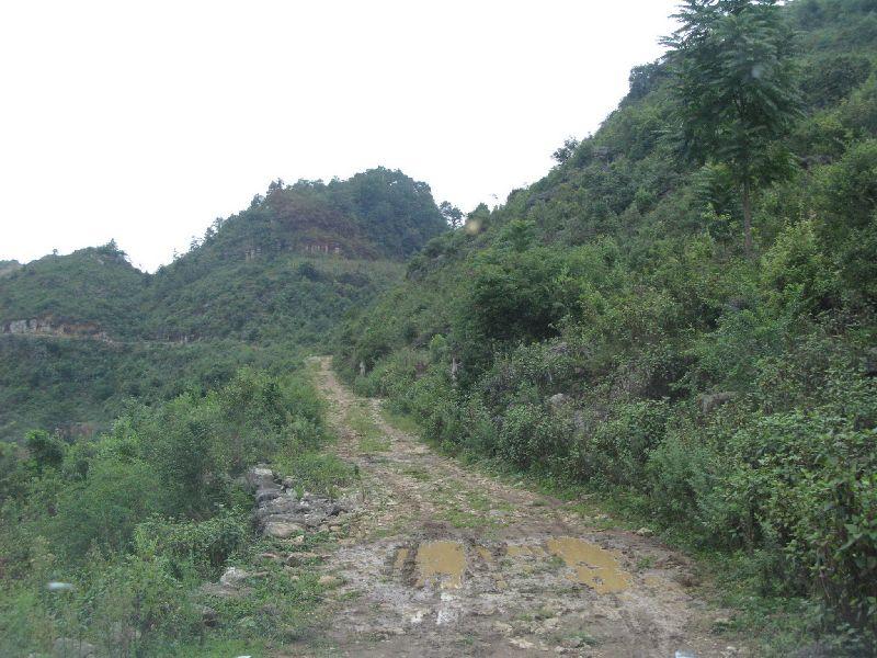 大凹子自然村(雲南曲靖羅平縣羅雄鎮阿溝河村大凹子自然村)