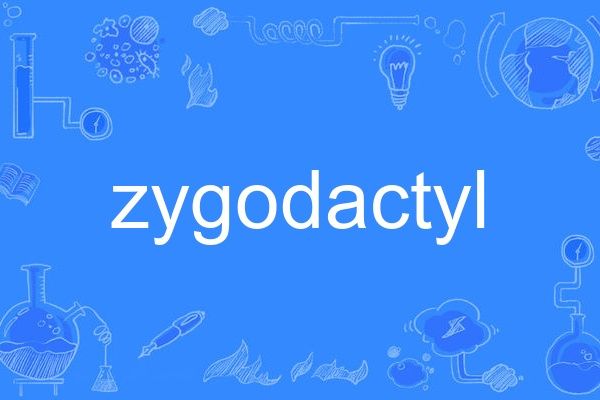 zygodactyl