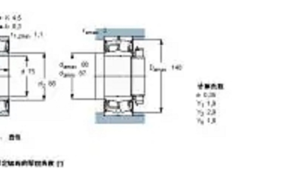 SKF BS2-2315-2CSK-VT143軸承