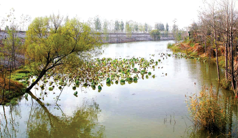 京杭大運河東平戴廟段