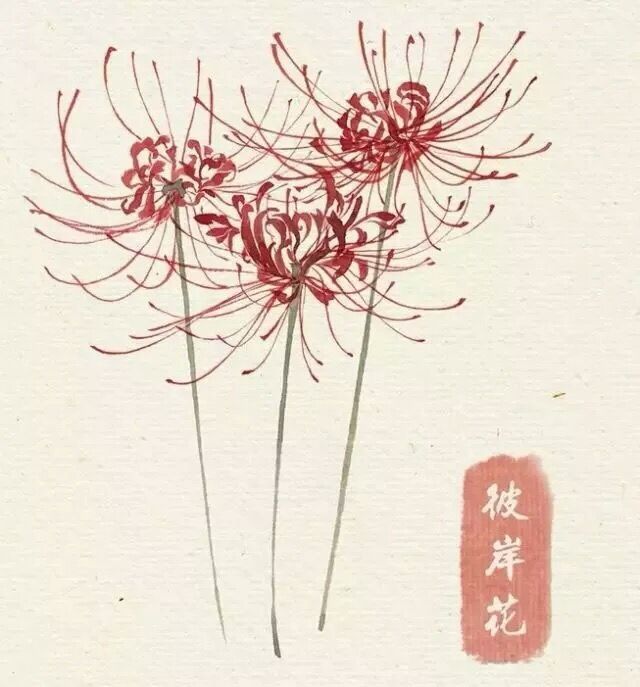 白華離歌