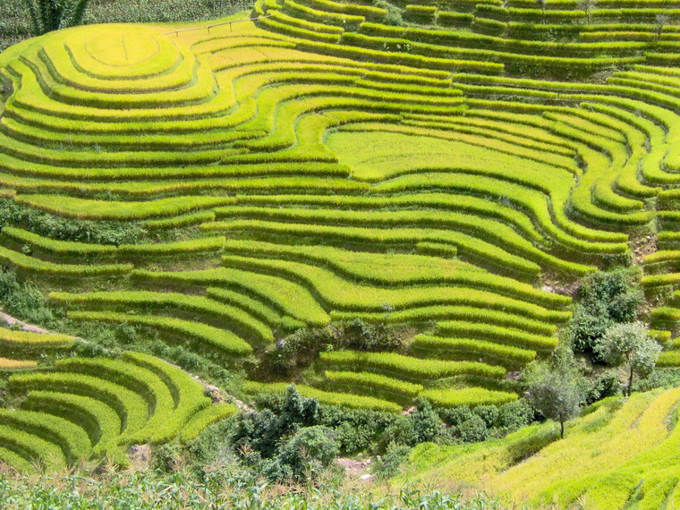 英格山自然村