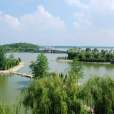 安徽潁上八里河省級自然保護區