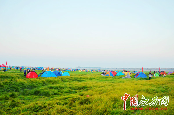 鄱陽湖國家濕地公園帳篷觀鳥季