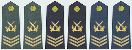 陸海空軍二級軍士長軍銜肩章(2009—)