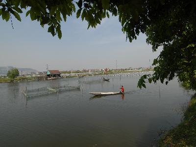 大義村(浙江省杭州市蕭山區瓜瀝鎮大義村)