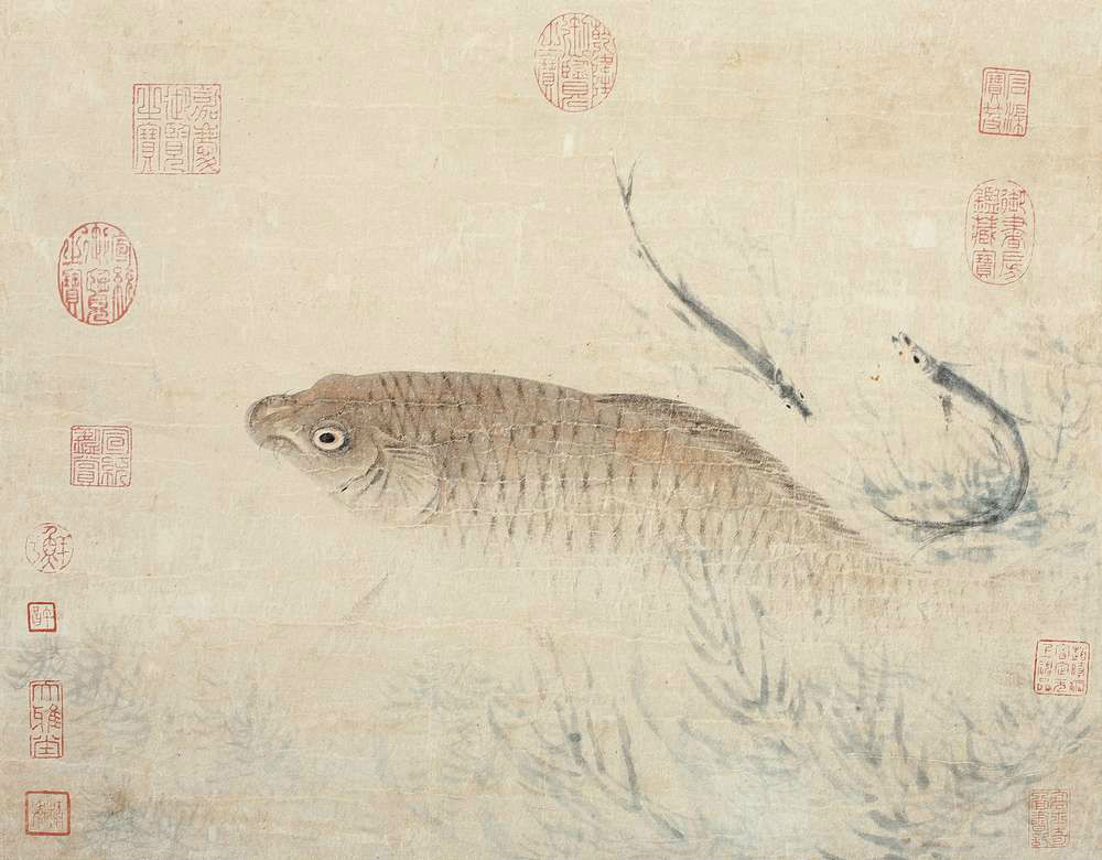 魚藻