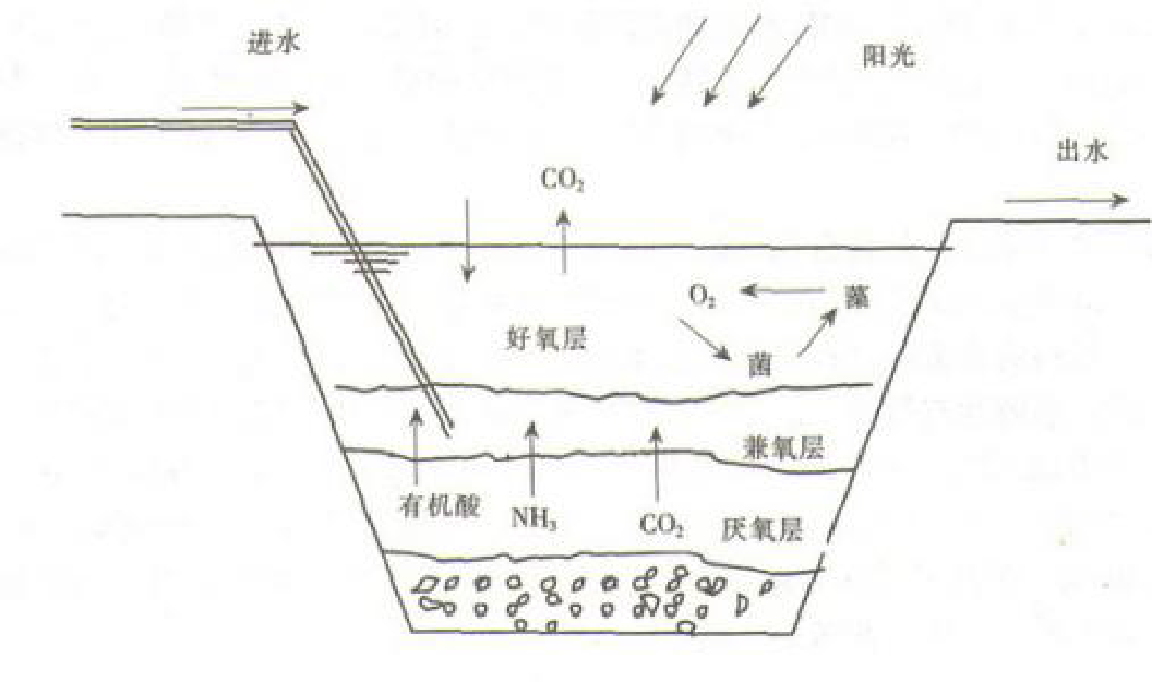 間歇排放塘