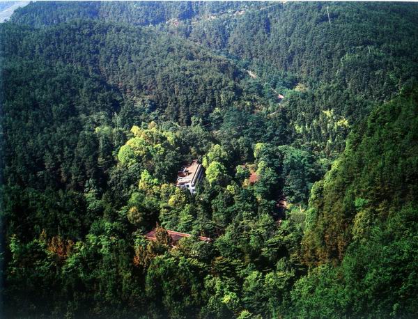 梁平東山國家森林公園