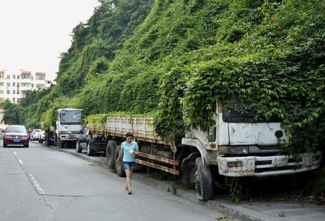 最牛殭屍車