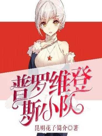 少女前線之普羅維登斯小隊