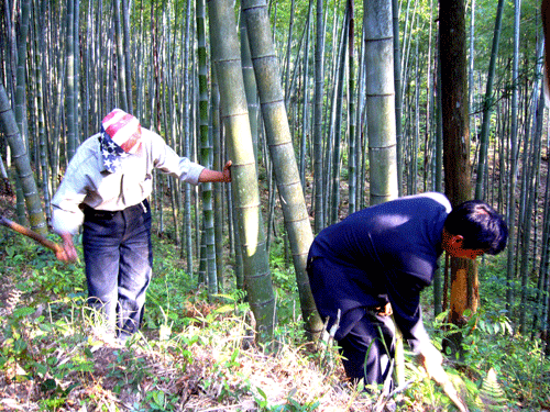 前圪村