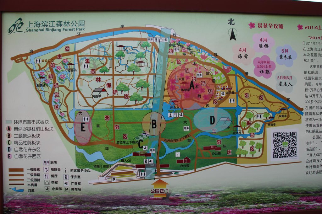 上海濱江森林公園