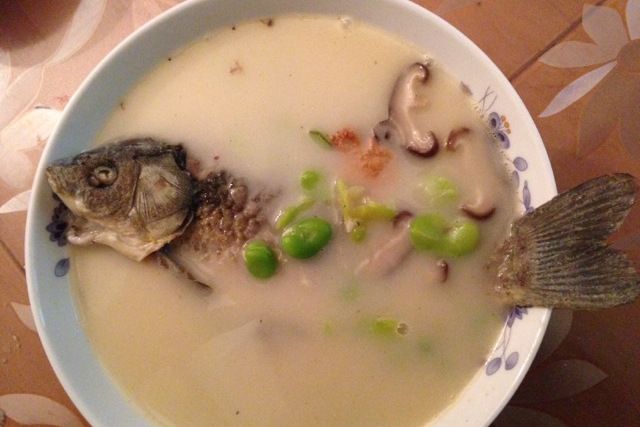 蠶豆鯽魚湯