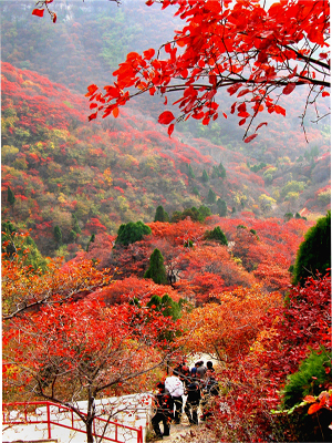 鳳凰山旅遊景區