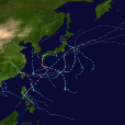 2024年太平洋颱風季