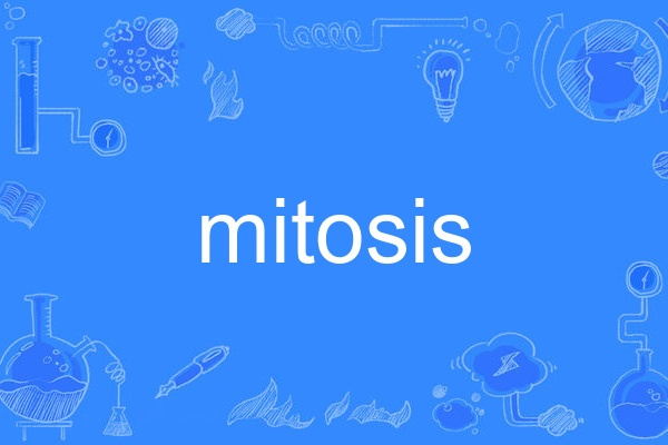 mitosis