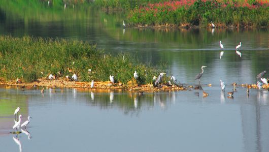 滻灞國家濕地公園