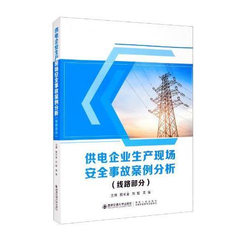 供電企業生產現場安全事故案例分析線路部分