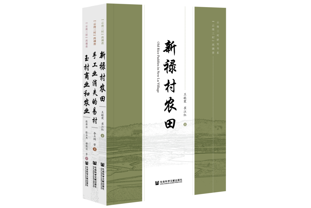 “雲南三村”再調查（全3冊）