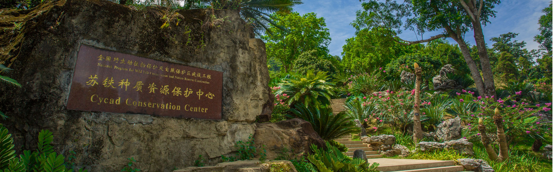 深圳市中國科學院仙湖植物園