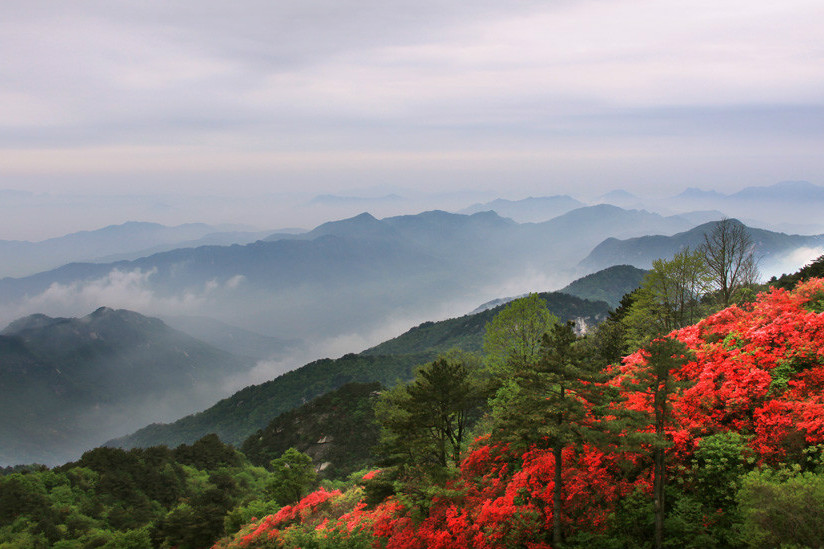 小金山村