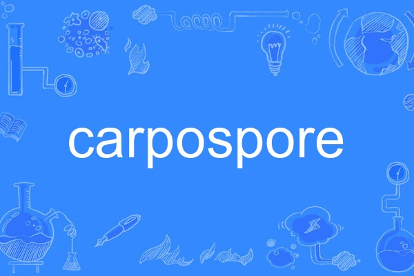 carpospore