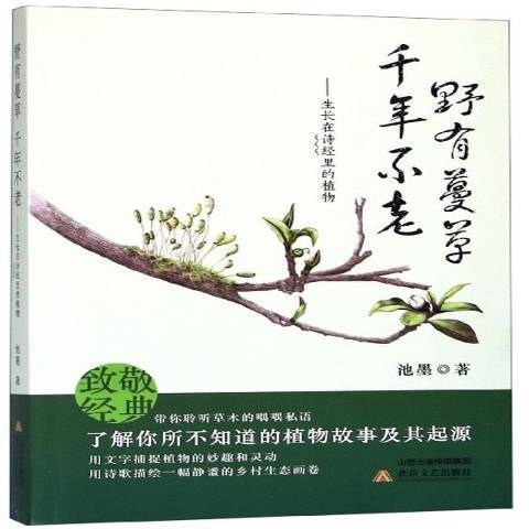 野有蔓草，千年不老：生長在詩經里的植物