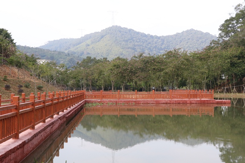 廣東鬱南大河國家濕地公園