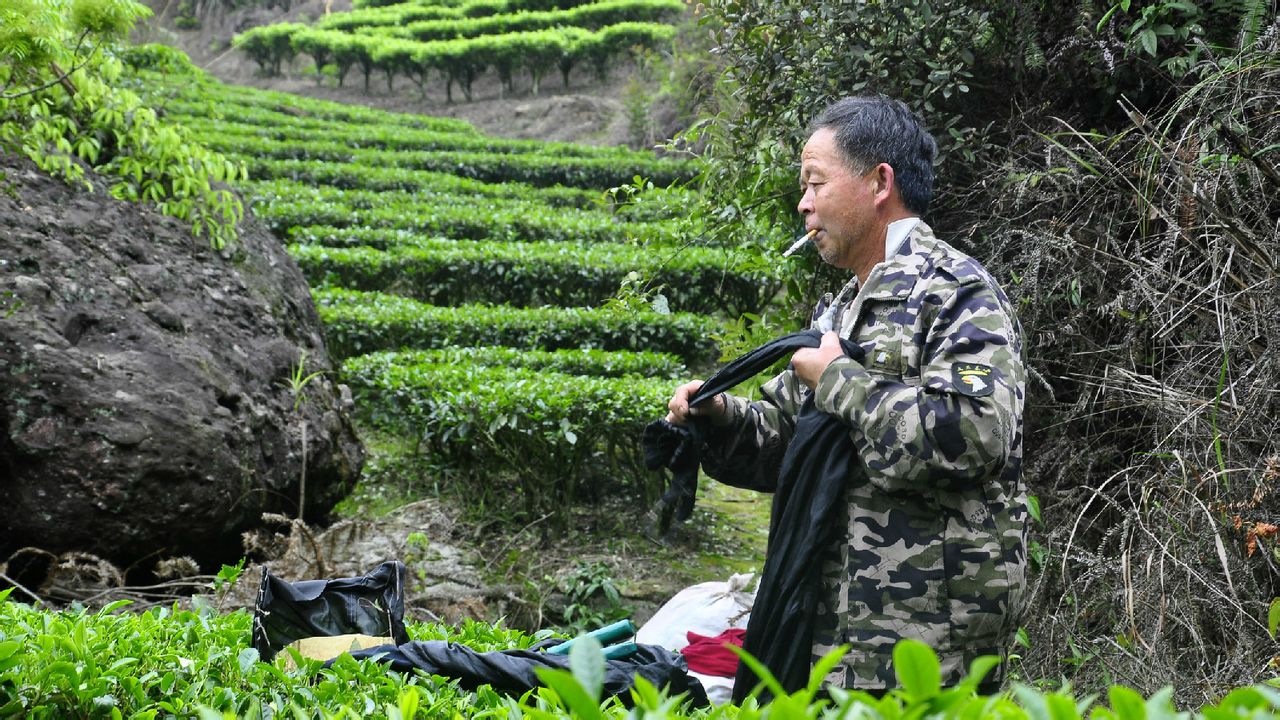 洋梅坪村