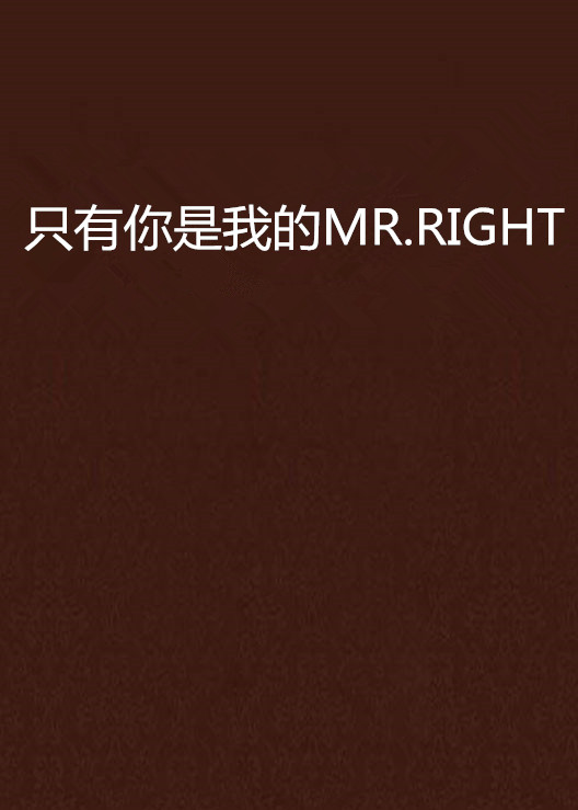 只有你是我的MR.RIGHT