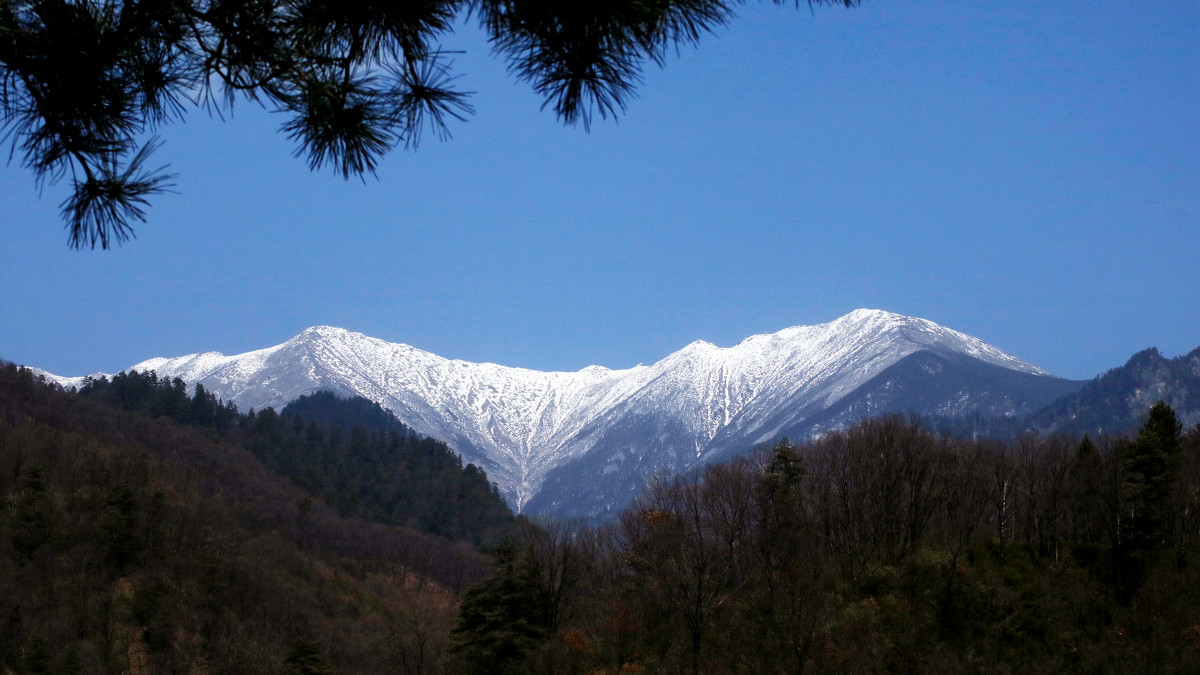 秦嶺(秦嶺山)