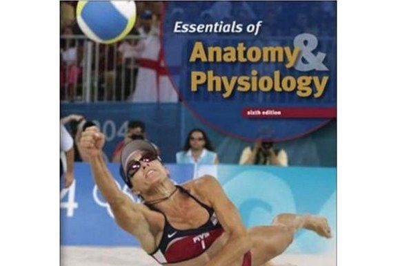 Essentials of Anatomy and Physiology