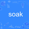 Soak(英語單詞)