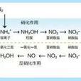 硝化