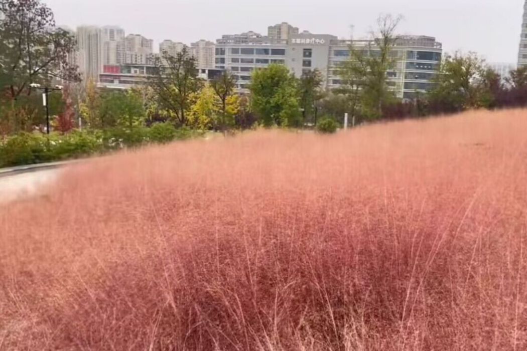 佛手山公園