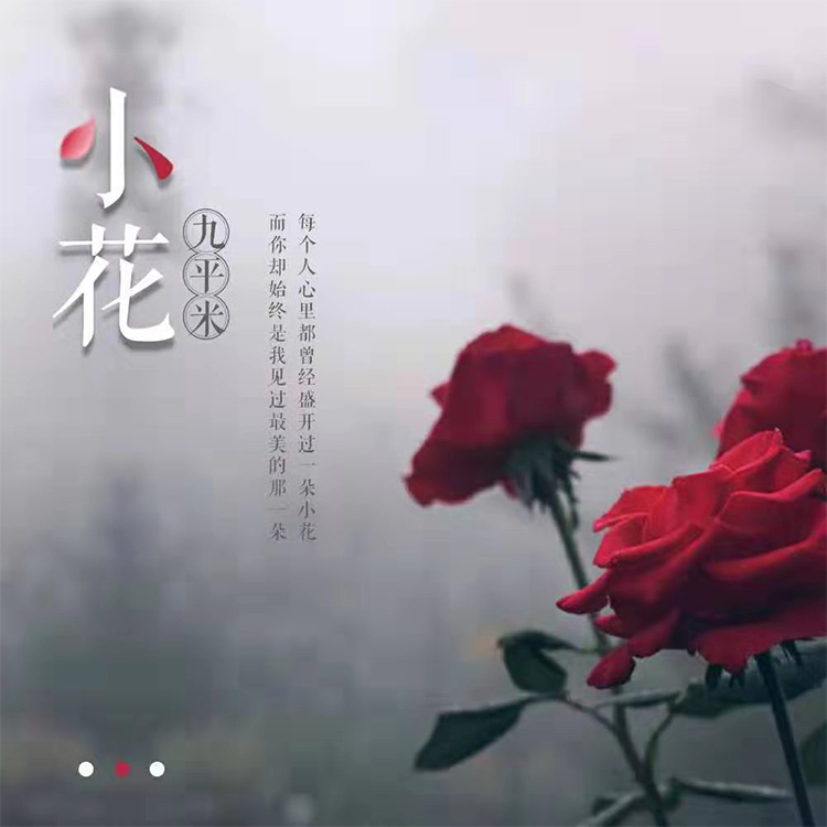 小花(九平米演唱歌曲)