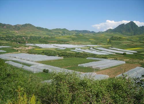 通渭縣華嶺鄉農田