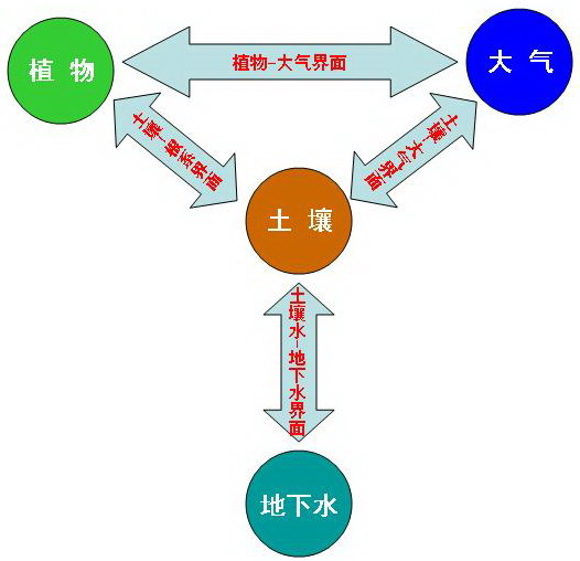 SPAC(土壤植物大氣連續體)