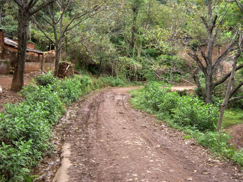 大立色村進村道路