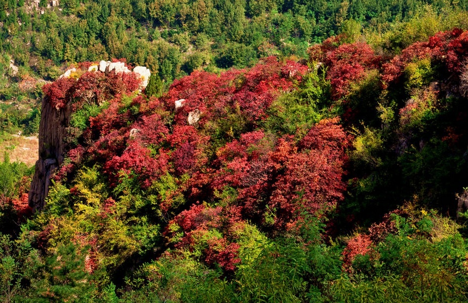 嵩山(臨朐嵩山)