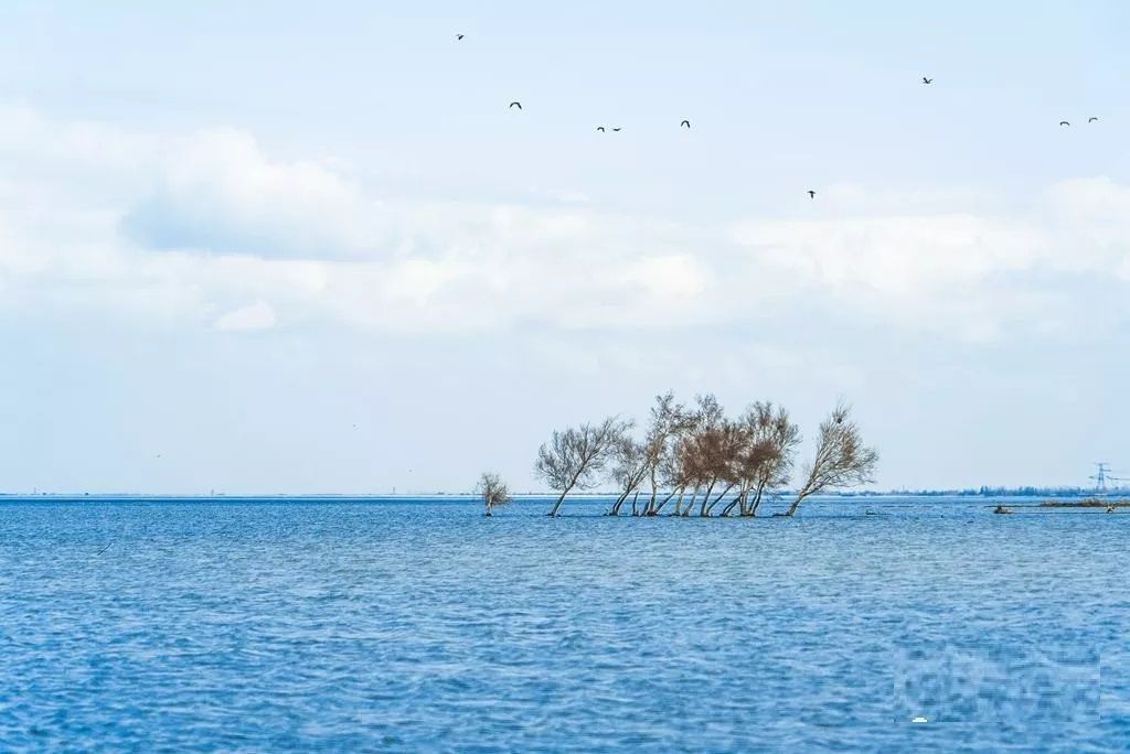 新疆沙灣千泉湖國家濕地公園(沙灣千泉湖國家濕地公園)