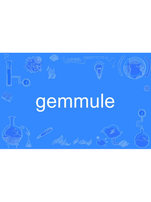 gemmule