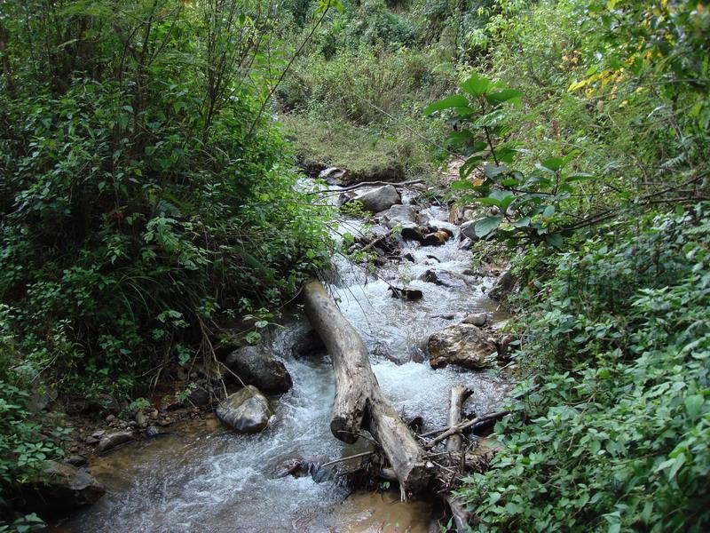 土沙林自然村