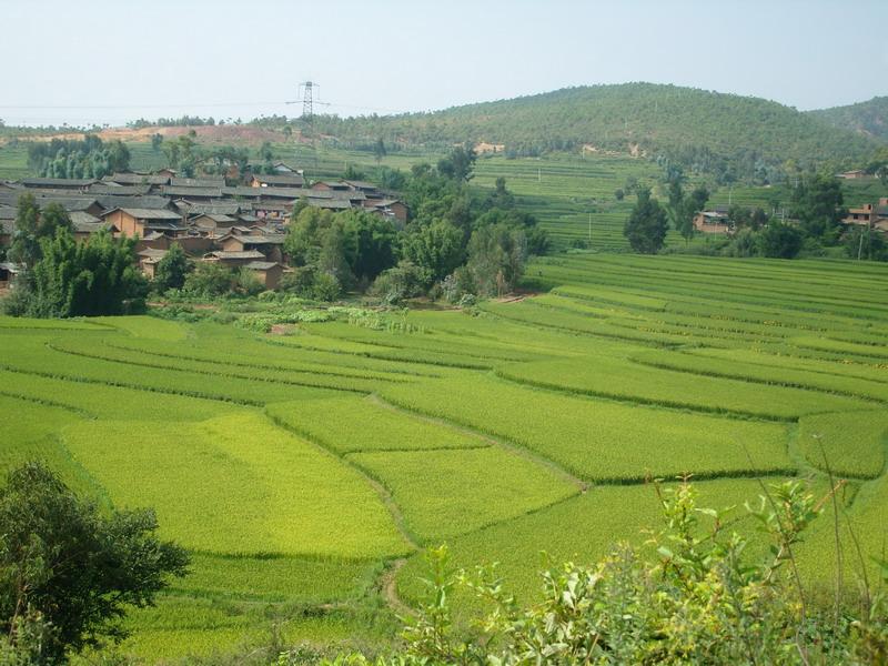 東屯一村