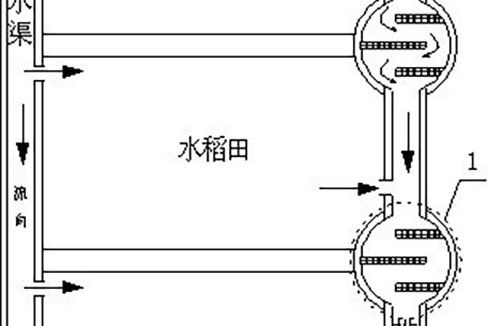 灌區稻田排水溝串聯濕地淨污系統