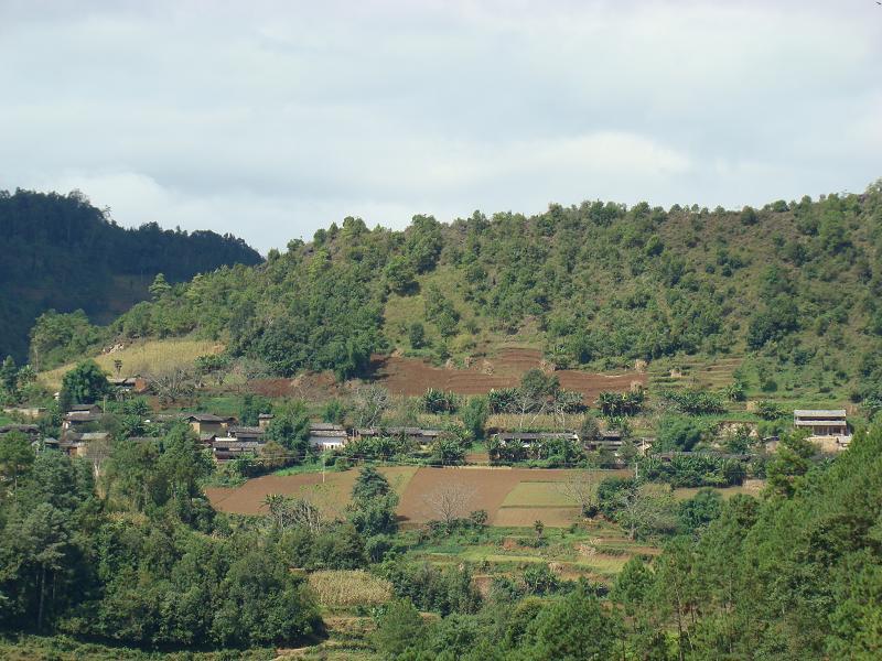 決葉壩村