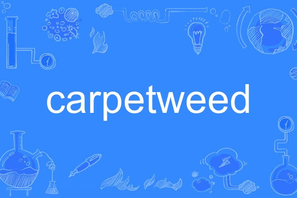 carpetweed